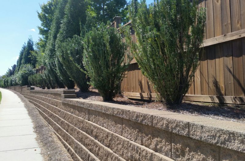 Landscape Wall Construction in Sonoma County, CA